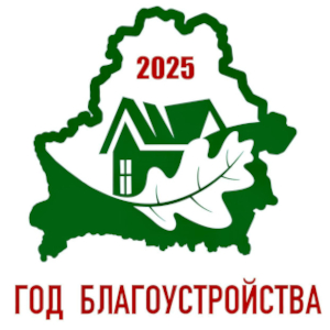 Айбиз Медиа