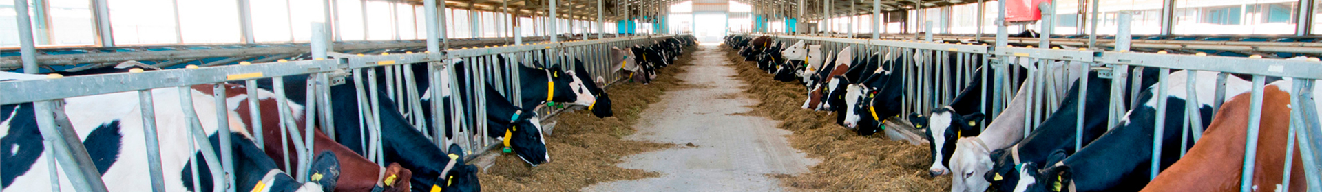 ФармАгроСервис ООО